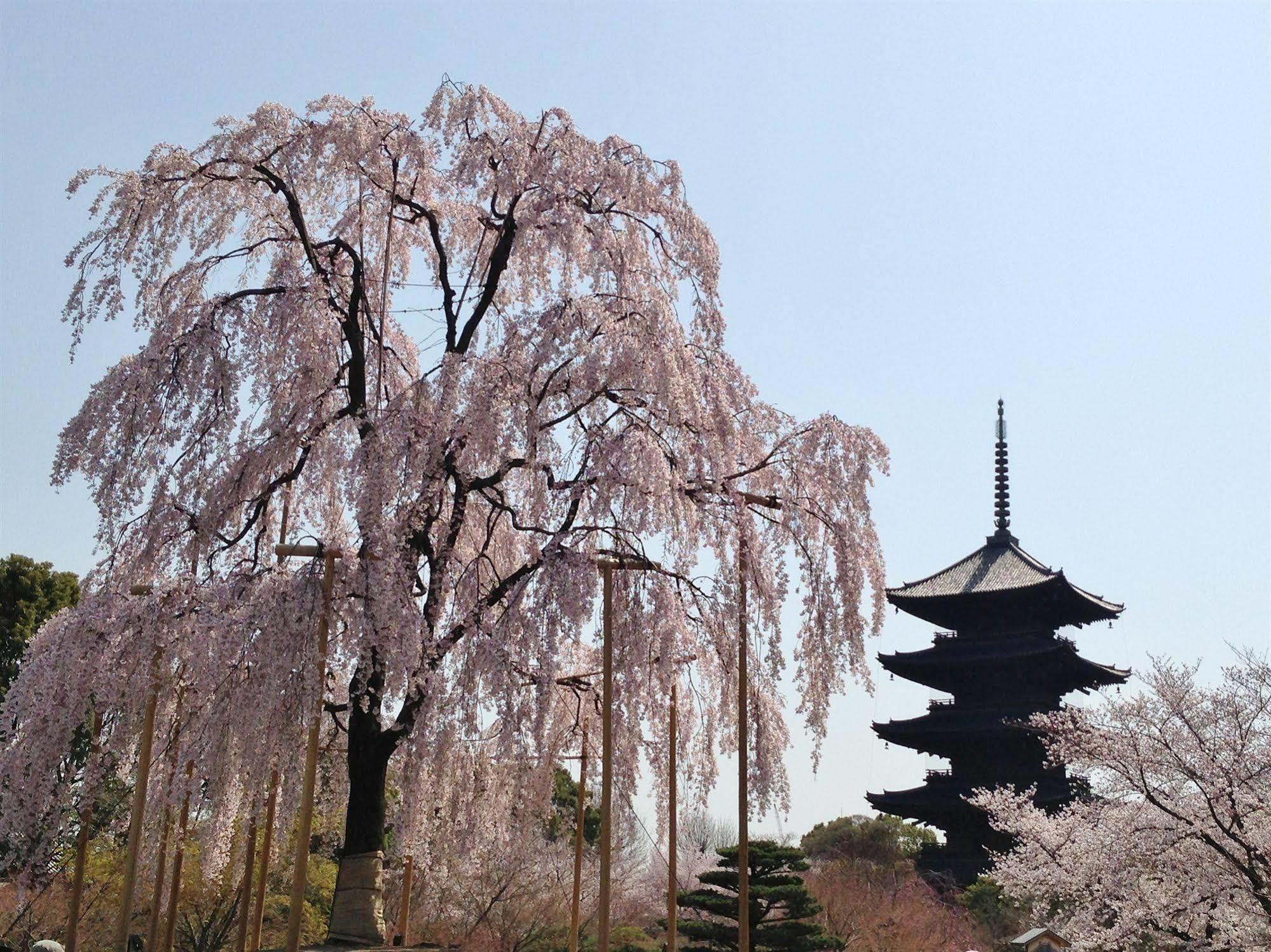 Livemax Kyoto Gojo Hotell Exteriör bild
